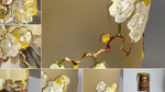 Elena_chardonnay_chateau la grace dieu des prieurs_decoration